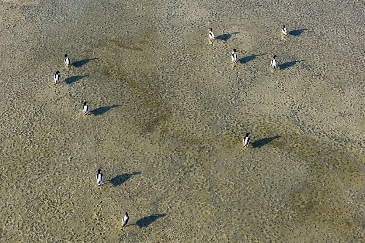 Konya merkezi sulayan kaynakta hareketlilik başladı 1
